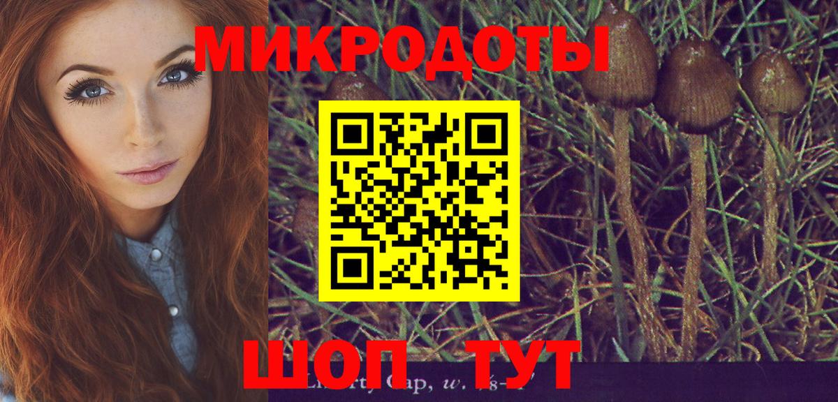 Псилоцибиновые грибы прущие грибы Мичуринск