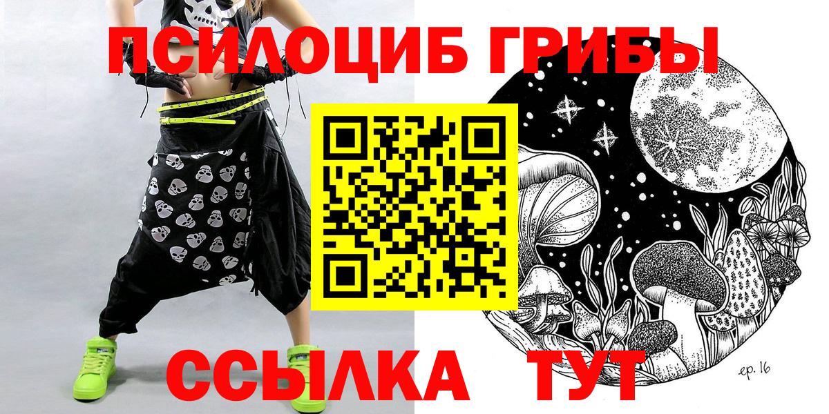 цены наркотик  Вход с VPN  Мичуринск  Галлюциногенные грибы Psilocybe  Псилоцибиновые грибы Magic Shrooms 